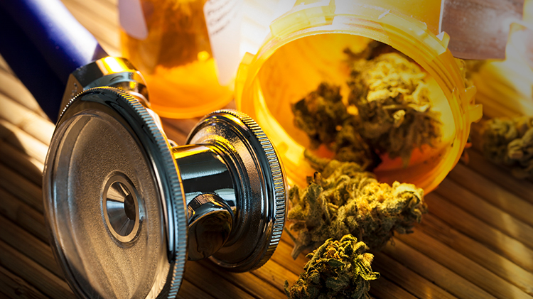 Medical Cannabis — Ai edit